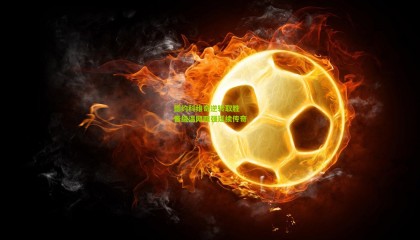 德约科维奇逆转取胜 晋级温网四强延续传奇