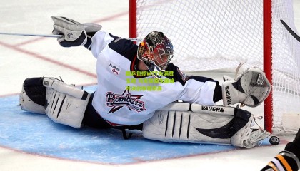 国乒包揽WTT大满贯五冠 马龙樊振东巅峰对决创收视新高