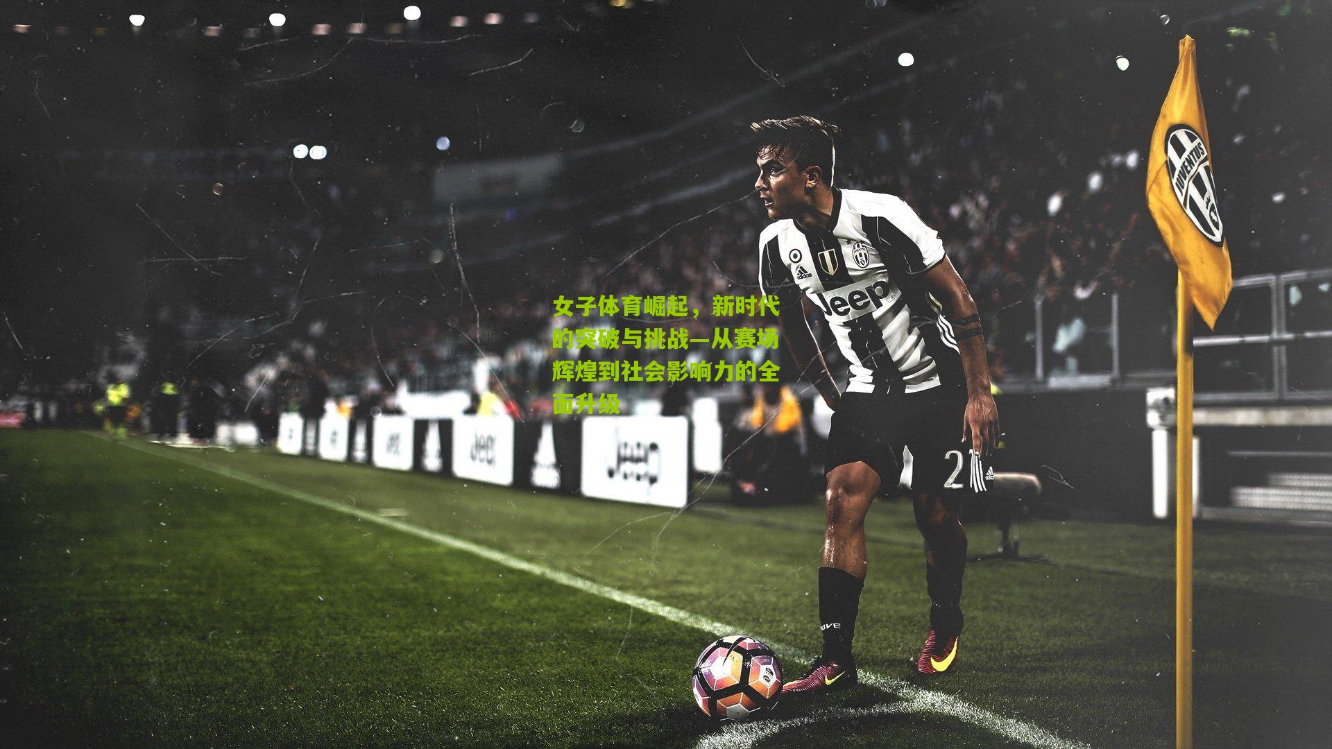 女子体育崛起,新时代的突破与挑战—从赛场辉煌到社会影响力的全面升级
