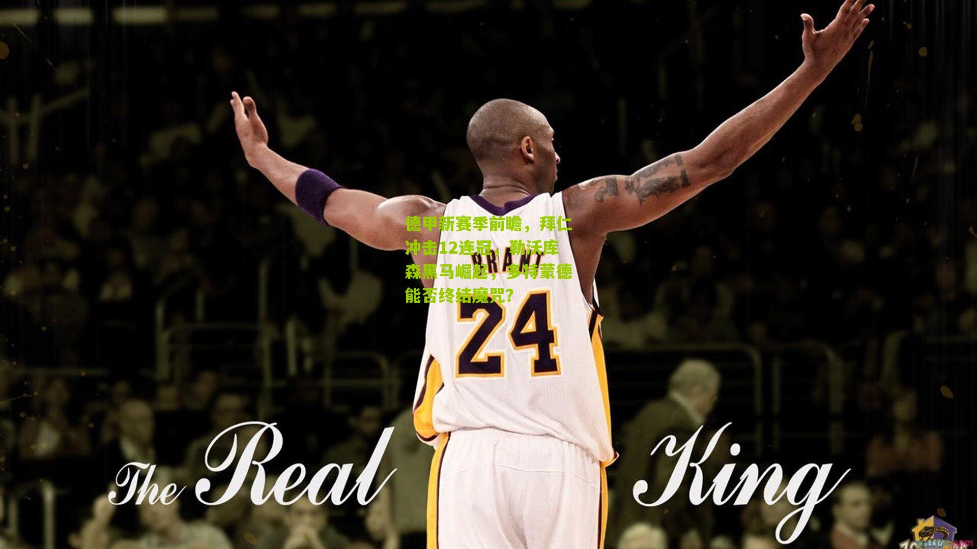 德甲新赛季前瞻，拜仁冲击12连冠，勒沃库森黑马崛起，多特蒙德能否终结魔咒？