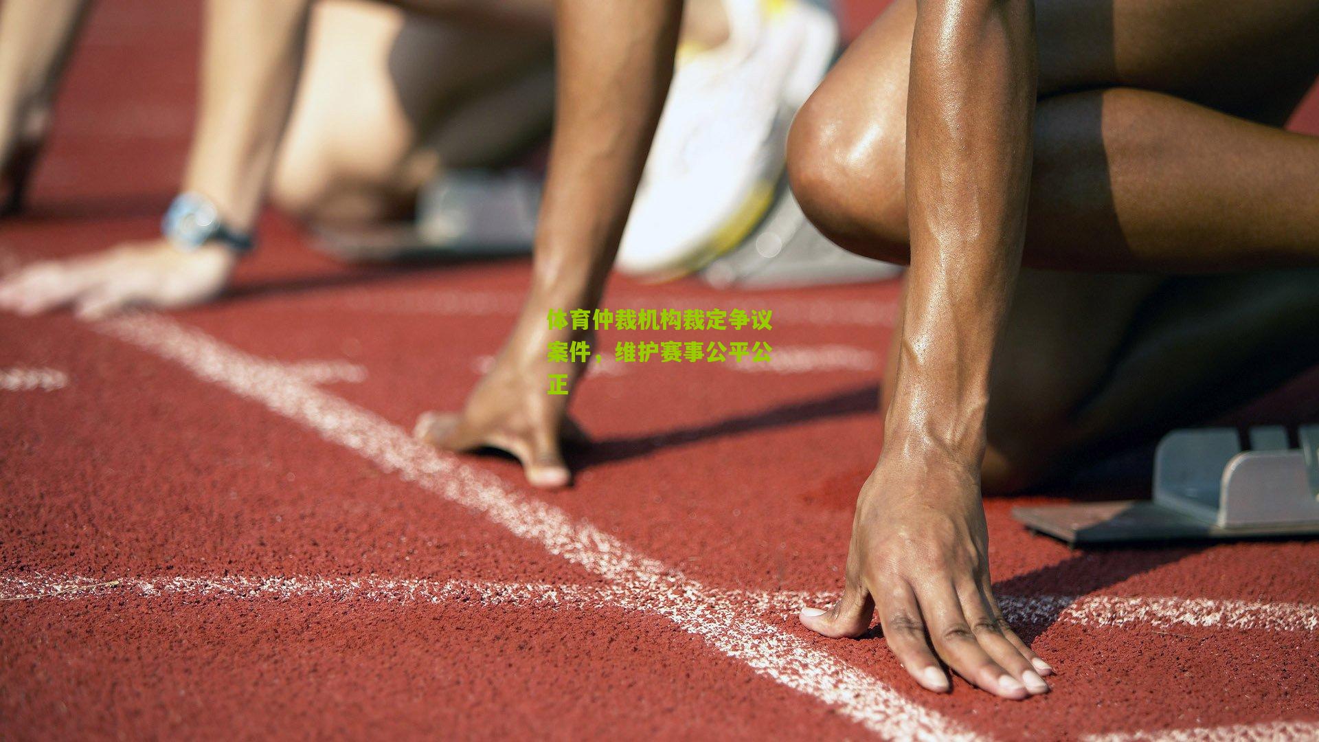 体育仲裁机构裁定争议案件,维护赛事公平公正