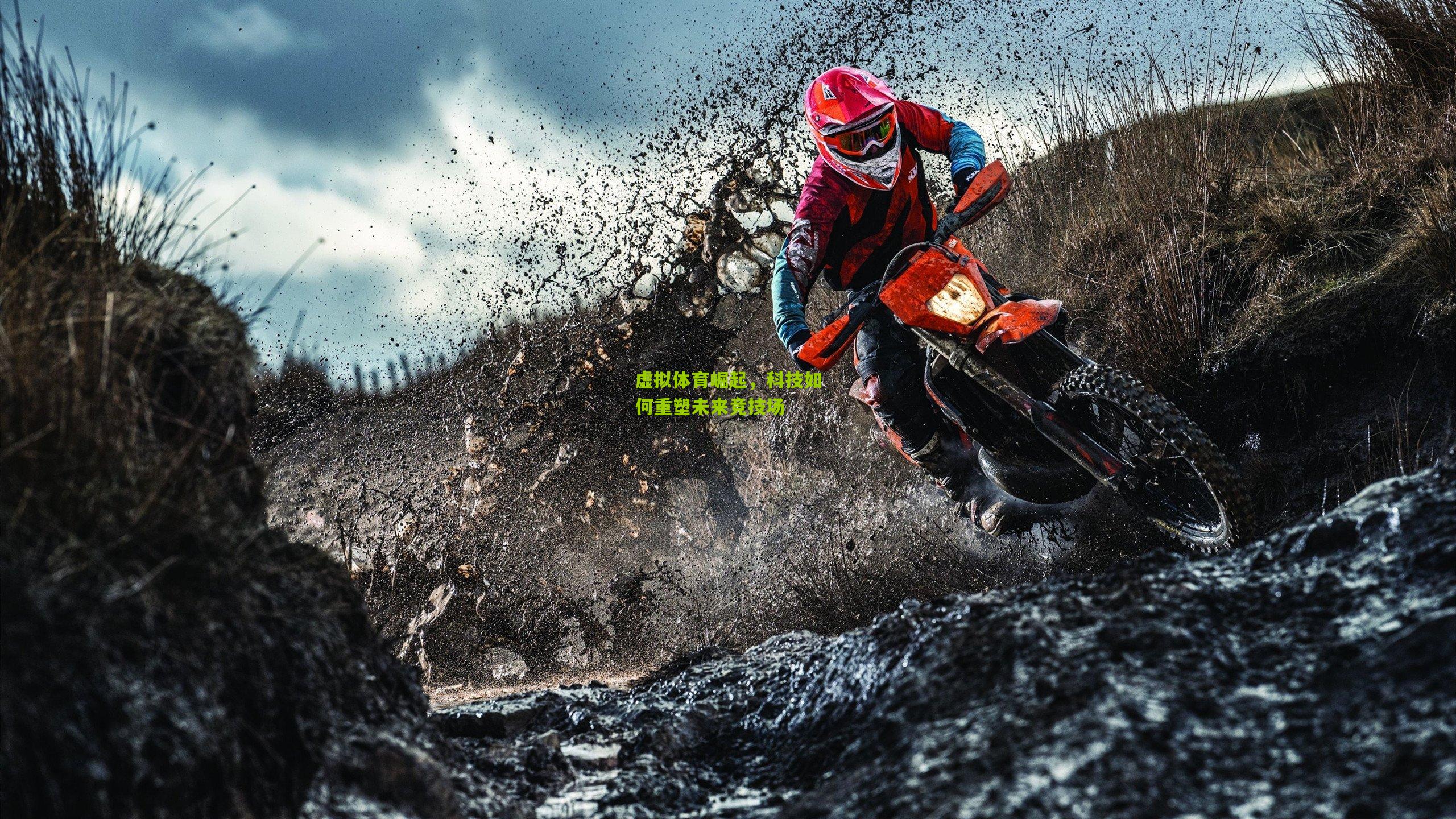 虚拟体育崛起,科技如何重塑未来竞技场